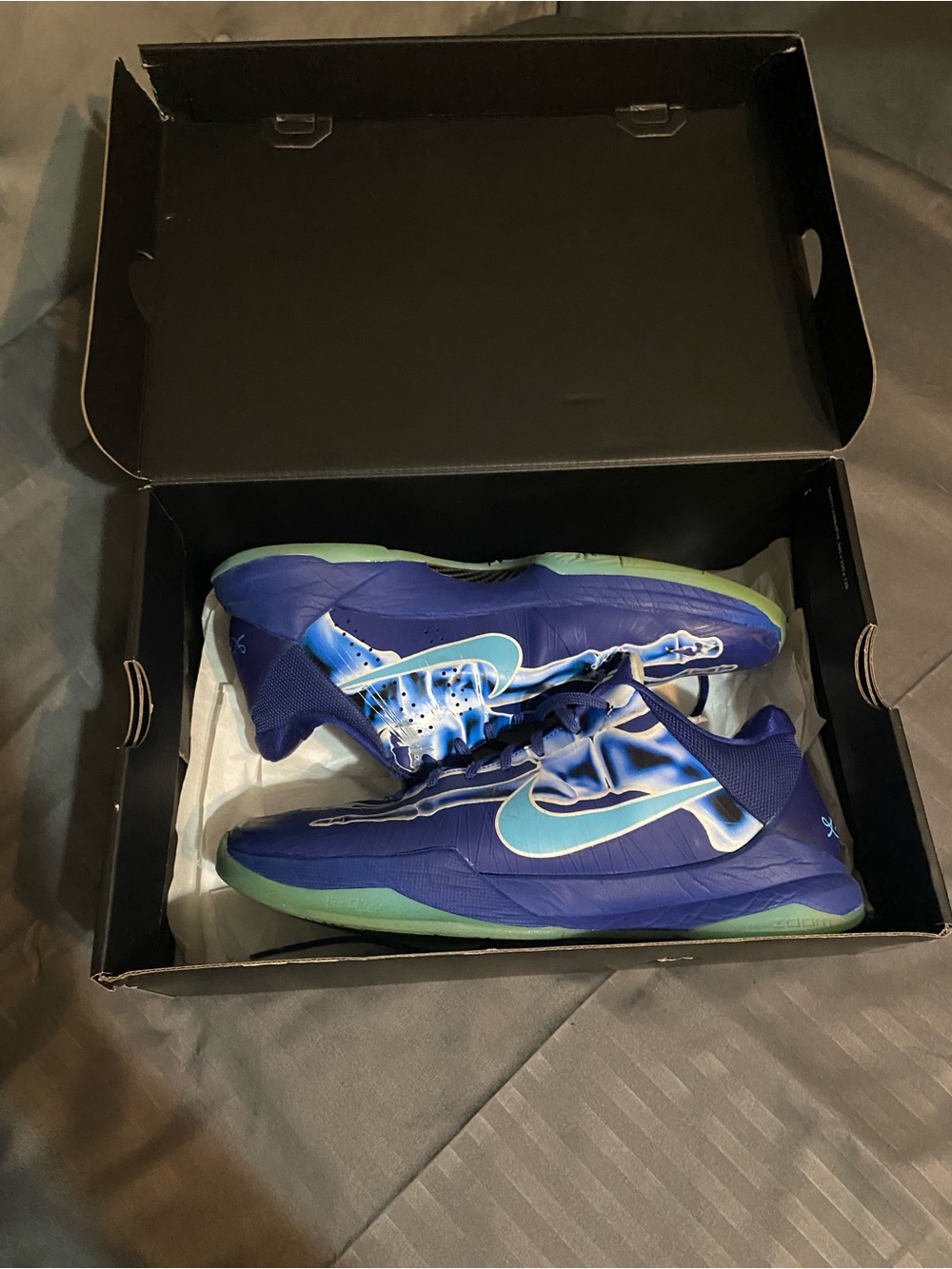 Kobe 5 x-ray